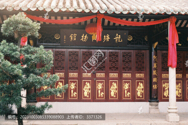 膠片拍攝龍?zhí)敛┪镳^