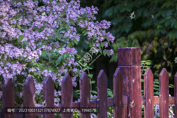 花墻