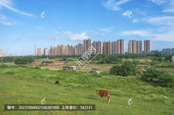 高樓天際線和田園牧歌