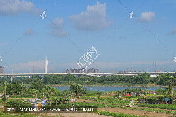大橋和田園風景