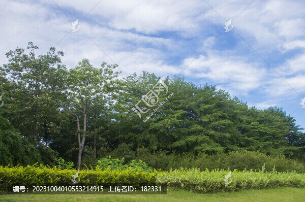 綠植屏障