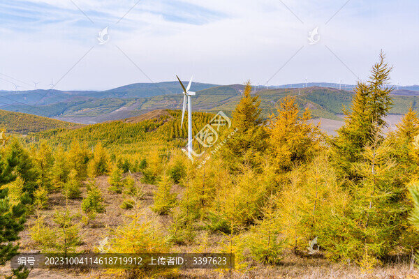 張北草原天路樺皮嶺的秋季美景