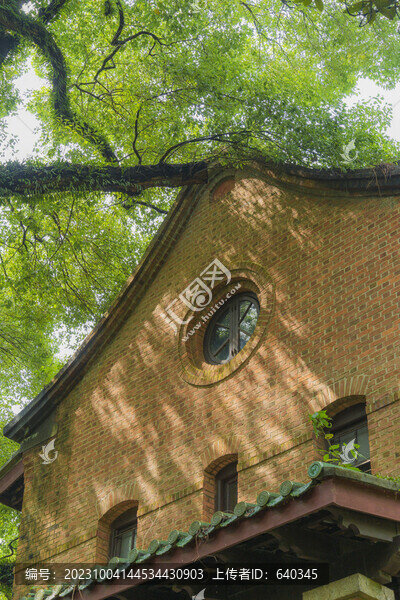 中山大學南校區(qū)