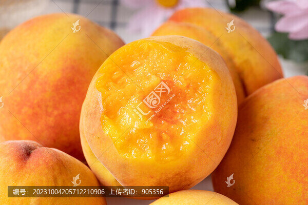 黃毛桃