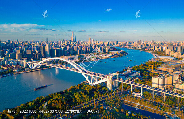 上海市盧浦大橋