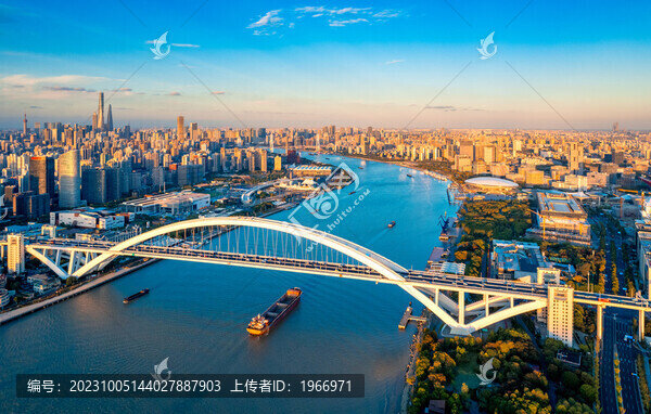 上海市盧浦大橋