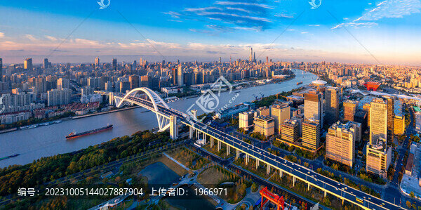 上海市盧浦大橋