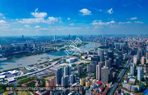 上海市盧浦大橋