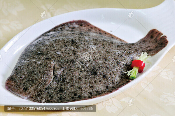 多寶魚(yú)