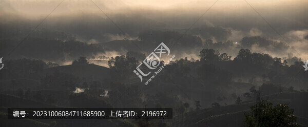 水墨茶鄉(xiāng)攝影圖