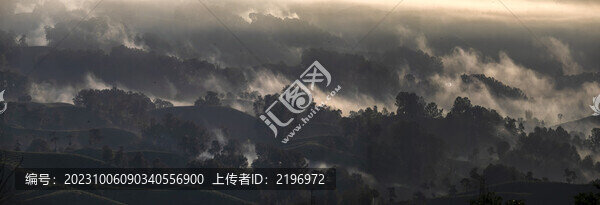 寬幅茶鄉(xiāng)晨霧風(fēng)光
