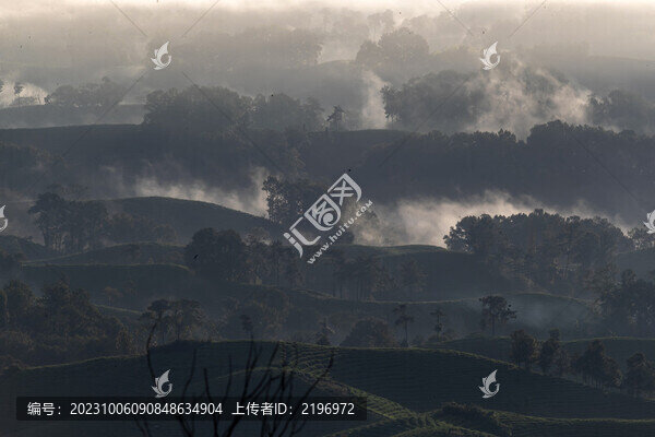 水墨茶田茶園圖片