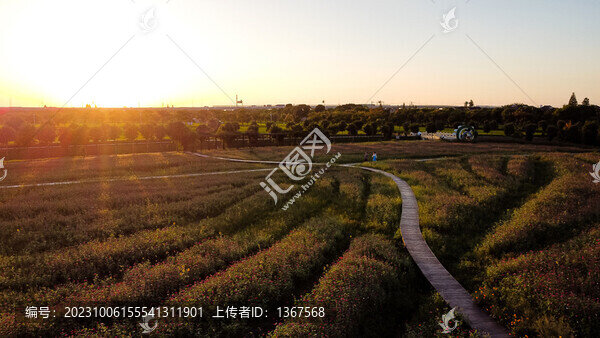 航拍苗圃