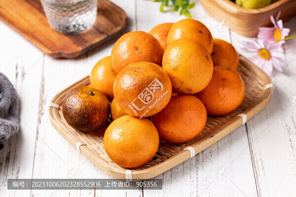 烏柑