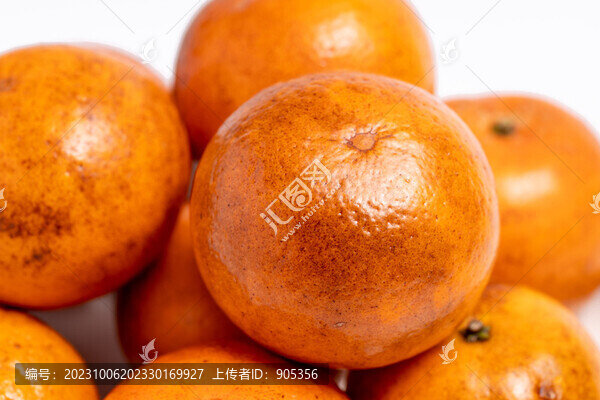 烏柑