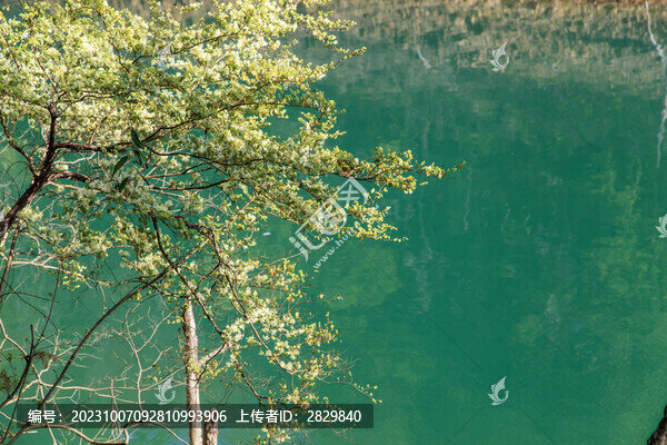 青山綠水