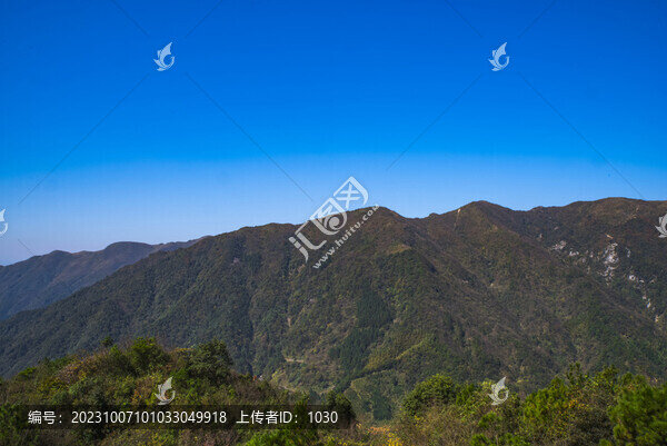 高山大山植被山景