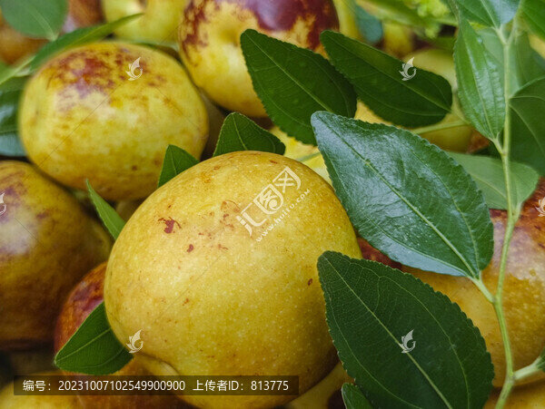 大棗