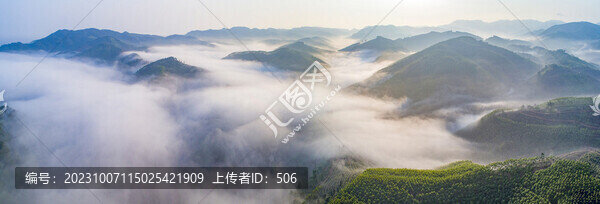 林區(qū)