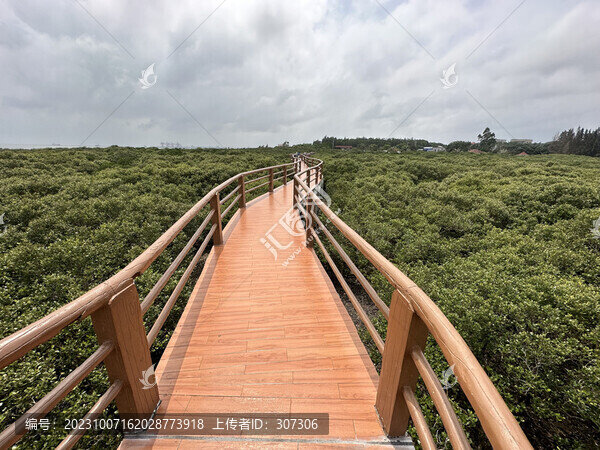 廣東湛江特呈島紅樹林觀光景區(qū)