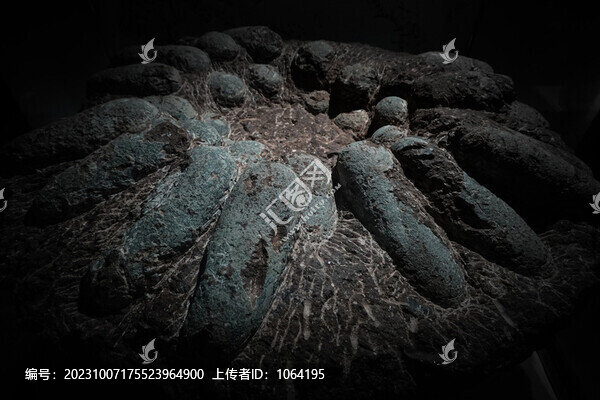 文物考古化石