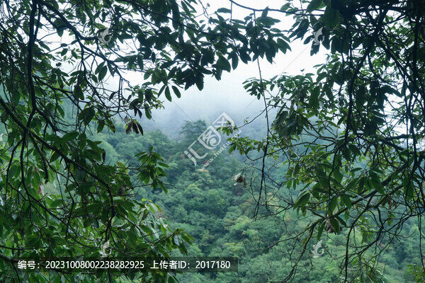 光霧山