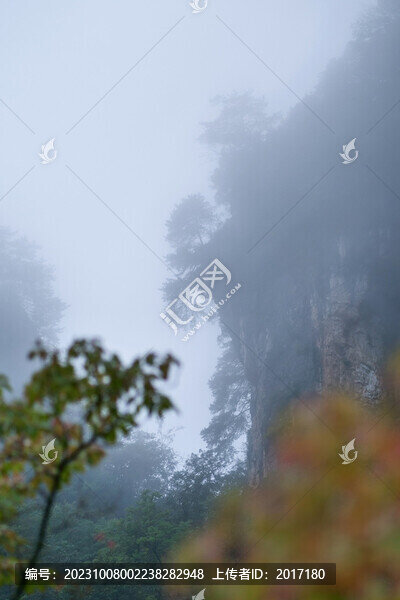 光霧山