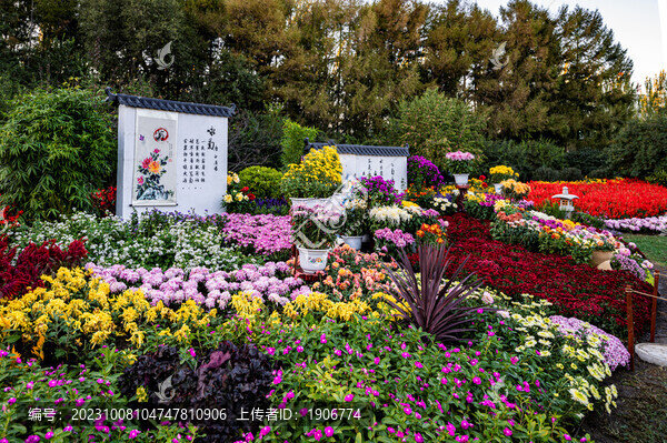 菊花園藝造型