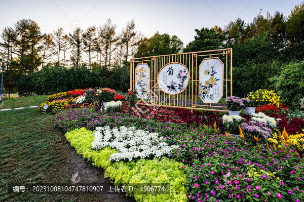 菊花園藝造型