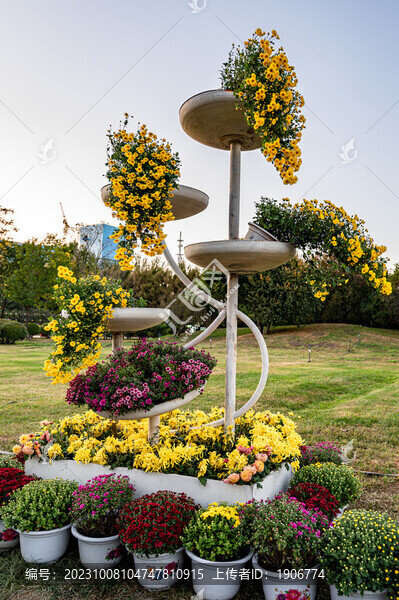 菊花園藝造型