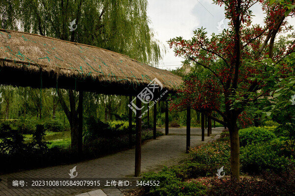 上海金山農(nóng)民畫村風(fēng)光