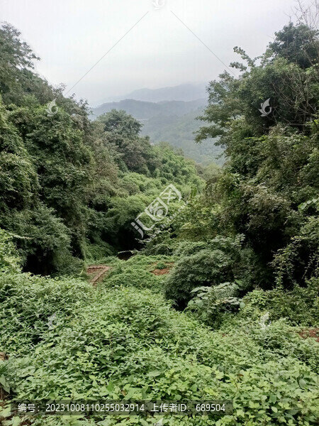 山間小路