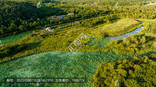 夏季的長春凈月潭濕地公園景