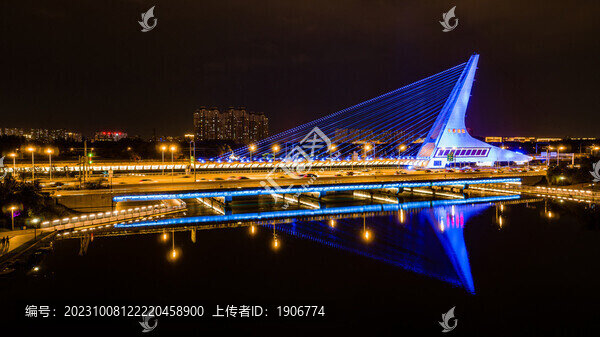 夏季的中國(guó)長(zhǎng)春衛(wèi)星大橋夜景