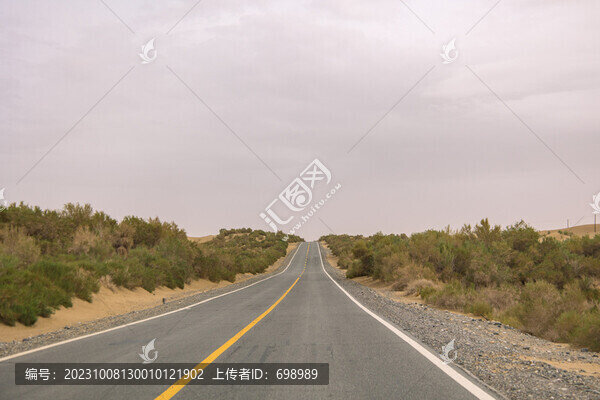 新疆塔里木沙漠公路