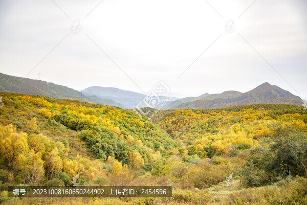 秋日山谷