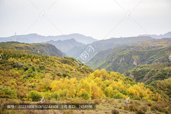秋日山谷