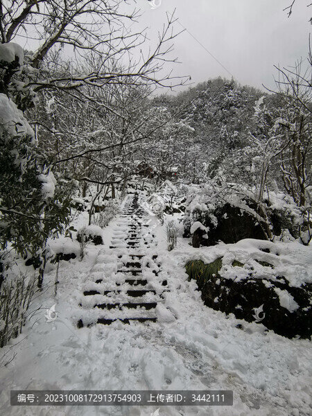 山路