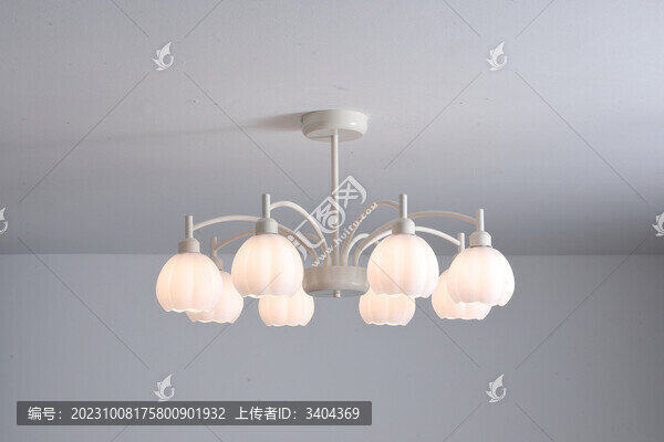客廳燈