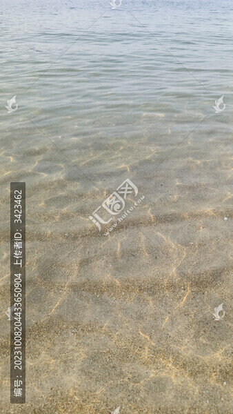 深圳桔釣沙的果凍海
