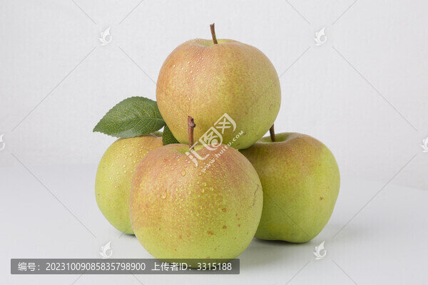 玉露香梨