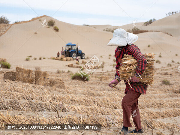 塔克拉瑪干沙漠公路國道580