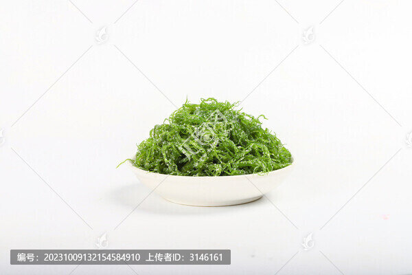 龍須菜海菜