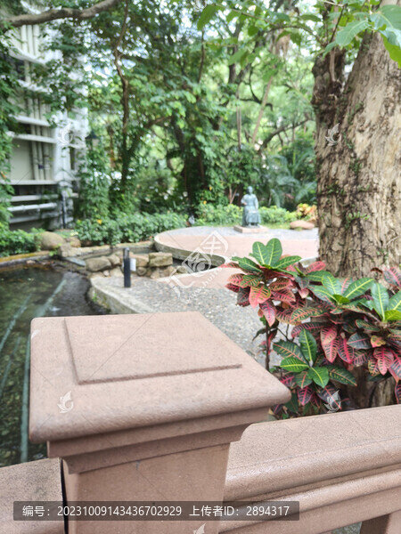 香港大學(xué)