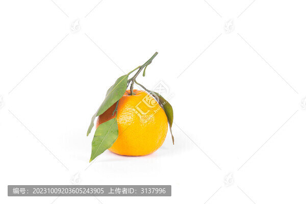 一個橘子