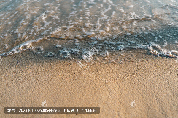 海灘特寫