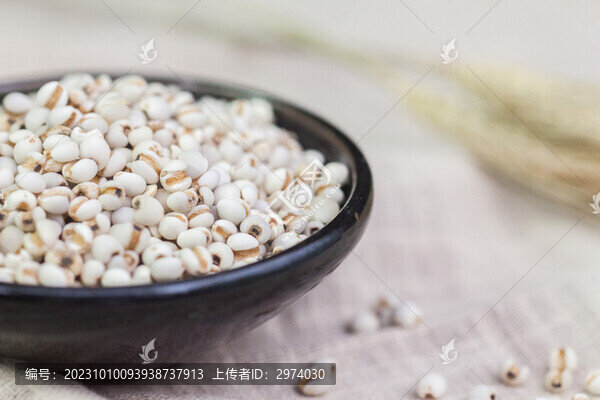 薏苡仁攝影圖片