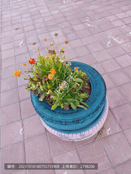 步道上的輪胎花盆