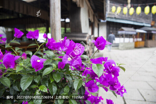 象山影視城襄陽城老街