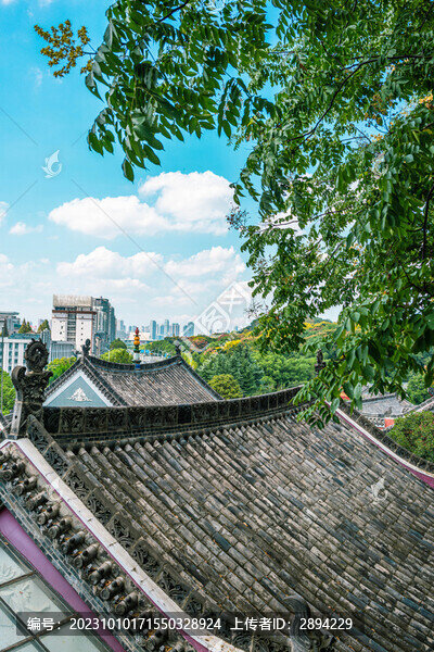 蛇山和長(zhǎng)春觀